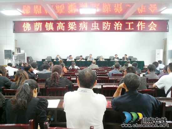 佛荫镇：政府统一购药&nbsp;防治高粱炭疽病
