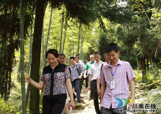 纳溪区委组织部长阮小燕到打古镇指导工作(图3)