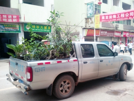 宜宾屏山移民进入大规模搬迁阶段(图4) 宜宾屏山移民进入大规模搬迁阶段(图4)
