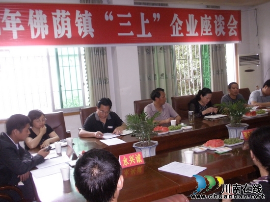 佛荫镇：召开2012年“三上企业”座谈会