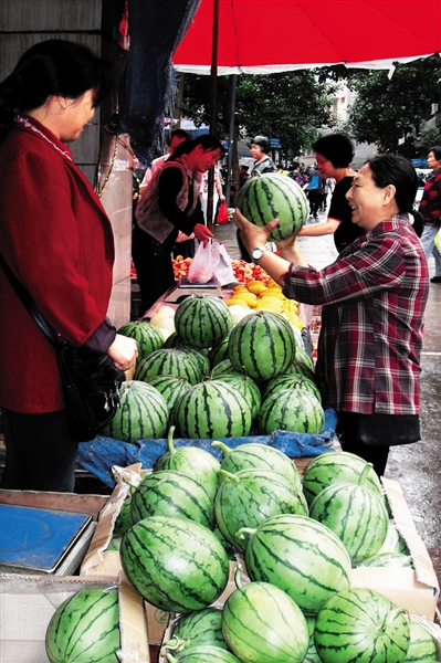 甜城今年雨水多 外地西瓜少本地西瓜俏(图1) 甜城今年雨水多 外地西瓜少本地西瓜俏(图1)