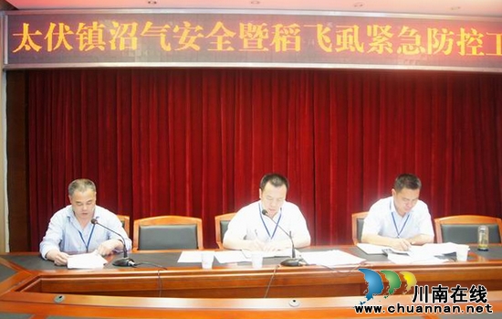 太伏镇：召开稻飞虱紧急防控工作会(图1)