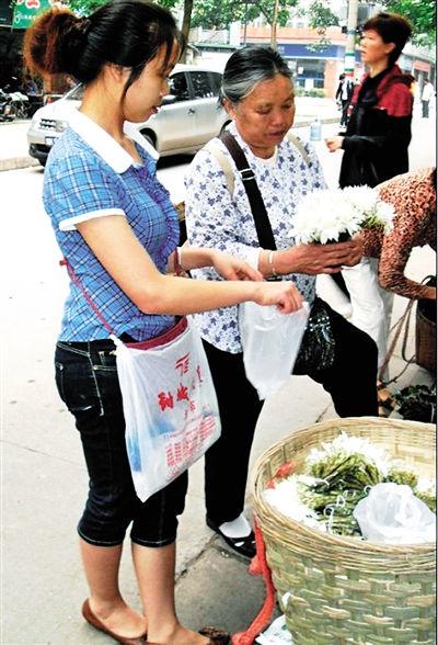 内江:夏枯草 “天鹅蛋”花很行销(图1) 内江:夏枯草 “天鹅蛋”花很行销(图1)