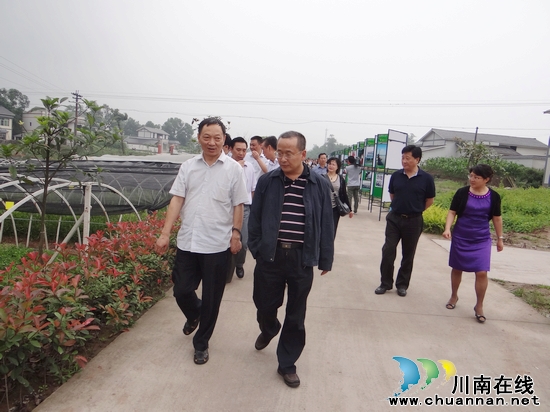 特兴镇:新村新貌新特兴 闪亮全市新农村工作现场会(图2) 特兴镇:新村新貌新特兴 闪亮全市新农村工作现场会(图2)