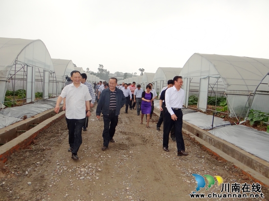 特兴镇：新村新貌新特兴&nbsp;闪亮全市新农村工作现场会