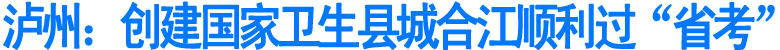 泸州：创建国家卫生县城合江顺利过“省考”