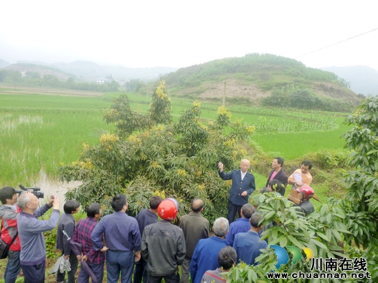 合江：计生三结合真帮实扶&nbsp;农户学技术助产增收