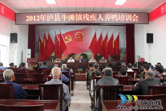 牛滩镇:送雏鸭送技术 助残增收致富(图1) 牛滩镇:送雏鸭送技术 助残增收致富(图1)