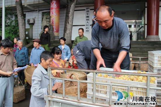 牛滩镇:送雏鸭送技术 助残增收致富(图5) 牛滩镇:送雏鸭送技术 助残增收致富(图5)