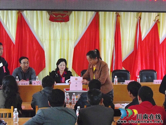 龙山镇：第六届人民代表大会第二次会议胜利召开