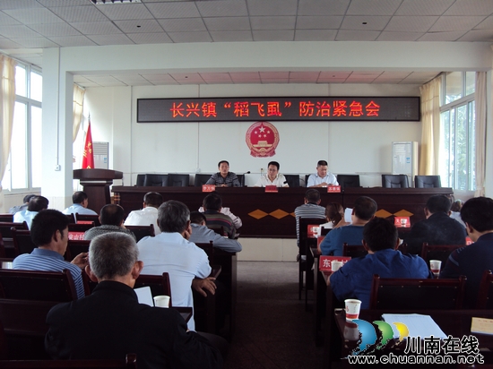 长兴镇：召开“稻飞虱”紧急会