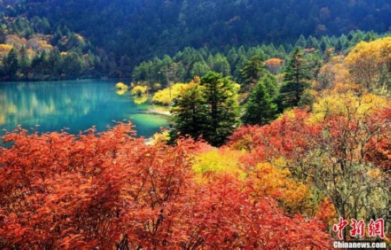 镜头里的天堂——四川甘孜州(图3) 镜头里的天堂——四川甘孜州(图3)