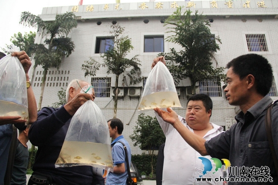 龙车镇:讲技术、送鱼苗 推进水产品健康养殖(图3) 龙车镇:讲技术、送鱼苗 推进水产品健康养殖(图3)
