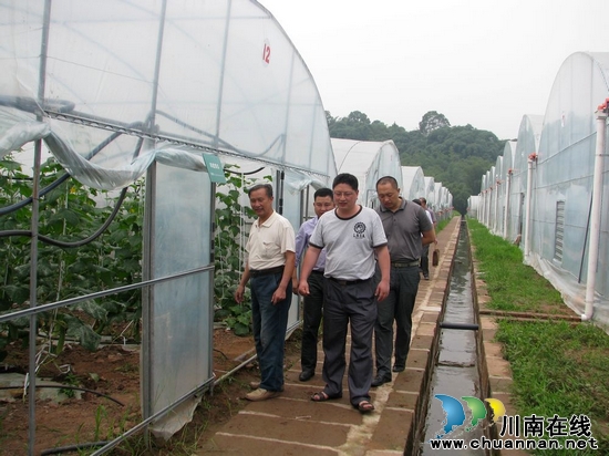 泸州市委组织部到叙永县水尾镇调研远程教育工作(图2)