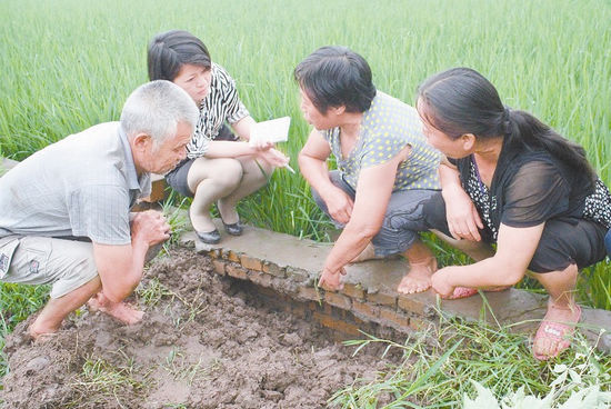 记者调查 宜宾千万元土地整理项目怎么了?(图1) 记者调查 宜宾千万元土地整理项目怎么了?(图1)