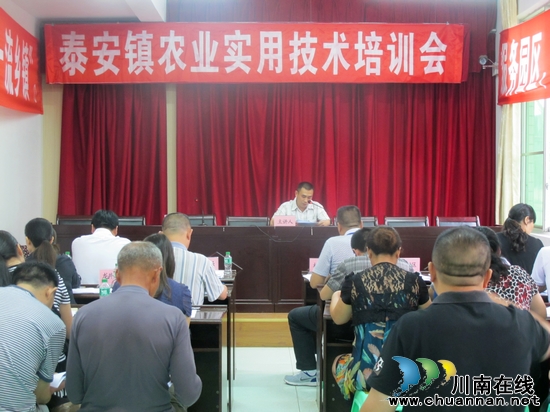 泰安镇：周末时节&nbsp;农户忙“充电”(图1)