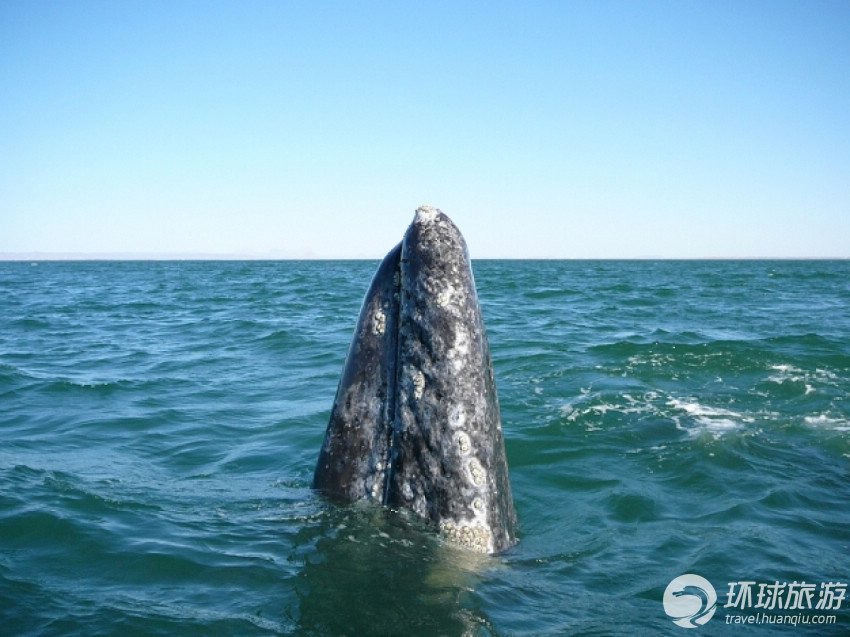 世界上9大最佳拍摄地(图1) 世界上9大最佳拍摄地(图1)