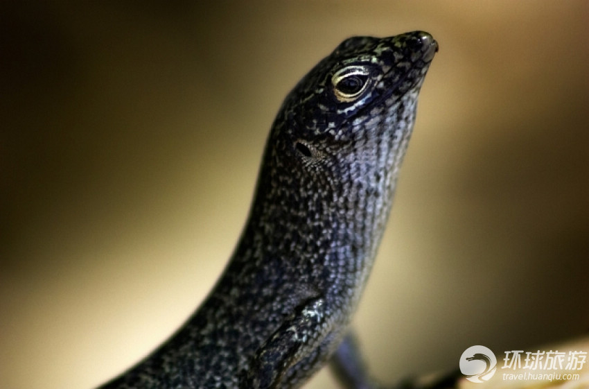 世界上9大最佳拍摄地(图3) 世界上9大最佳拍摄地(图3)