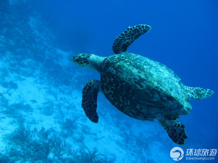 世界上9大最佳拍摄地(图4) 世界上9大最佳拍摄地(图4)