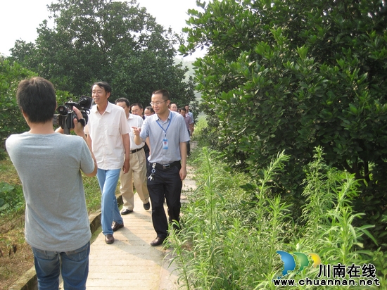 省扶贫项目资金检查组到合江县密溪乡指导工作(图3)