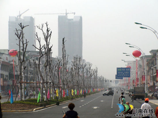 泸州：泸县县城绿化改造工程全面完工(图2)
