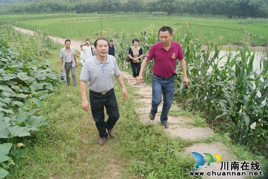 大石乡：泸州市委编办考察定点帮扶村(图3)