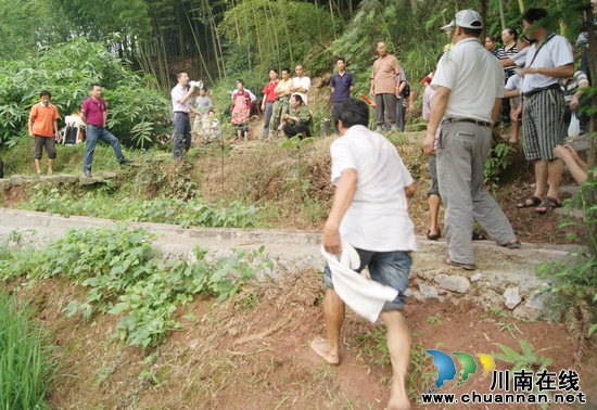 大石乡:气象导航 稻飞虱防控战役全面打响(图1) 大石乡:气象导航 稻飞虱防控战役全面打响(图1)
