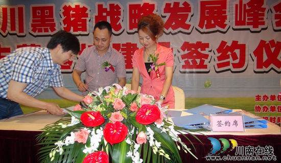 古蔺打造优质肉猪供应基地 推动特色生猪产业发展(图2) 古蔺打造优质肉猪供应基地 推动特色生猪产业发展(图2)