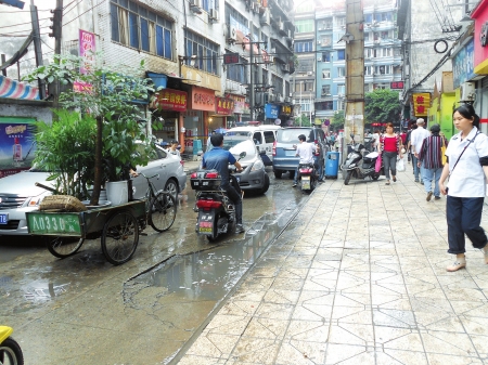 宜宾拟取消打金街花卉市场