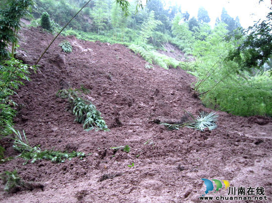 突降暴雨致景区道路受阻 泸州佛宝紧急疏散受困游客(图1) 突降暴雨致景区道路受阻 泸州佛宝紧急疏散受困游客(图1)