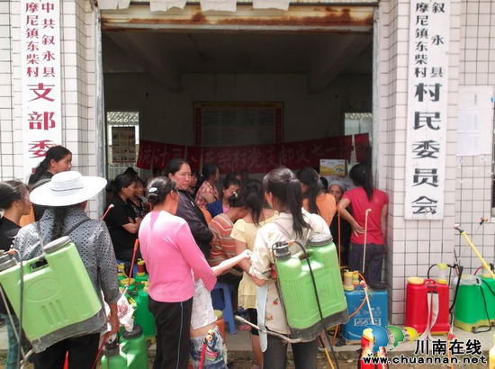 摩尼镇：干群齐动手&nbsp;掀起稻飞虱防治热潮