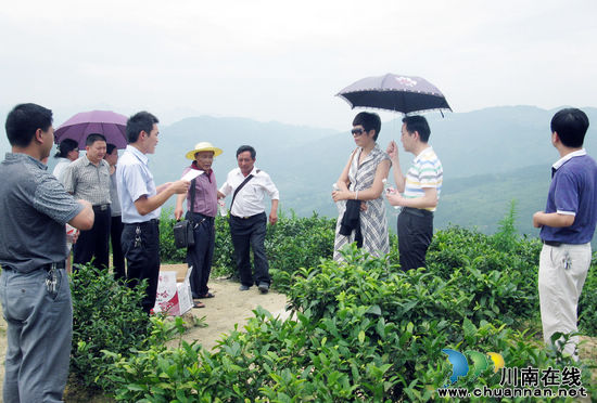 以工代赈新项目有望落户古蔺马嘶乡(图2)