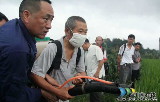 龙车镇：强力防治&nbsp;打响虫口夺粮“攻坚战”(图2)