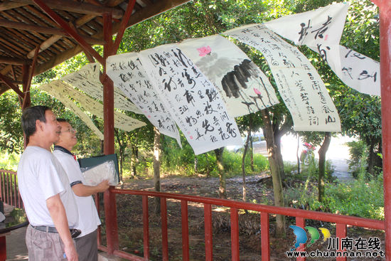 龙马潭区诗联学会、书美协会风采座谈在石洞举行(图2)