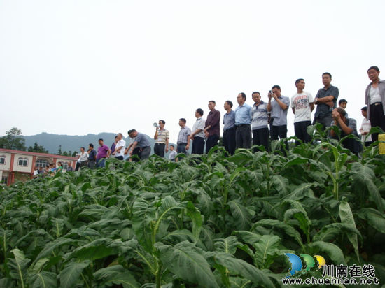 黄坭乡人大代表考察团赴合乐苗族乡考察学习(图2)