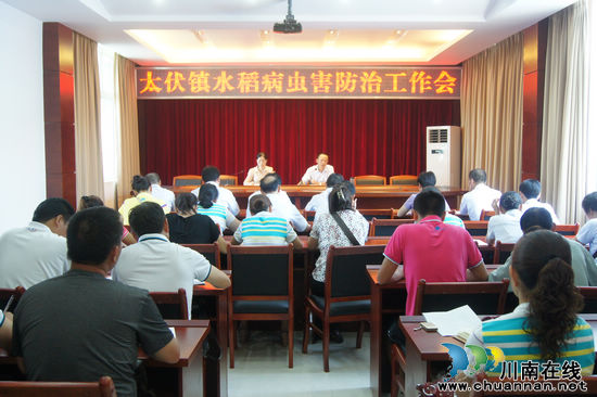 太伏镇:再部署水稻病虫害防治工作(图1) 太伏镇:再部署水稻病虫害防治工作(图1)
