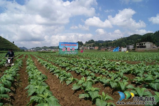 水口镇：全民总动员&nbsp;城乡环境综合治理效果显著(图8)