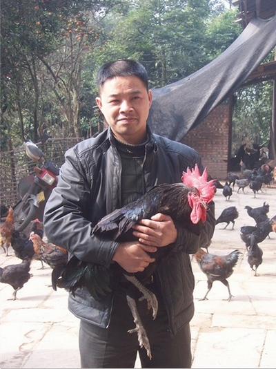 榕右乡:立足"山"字做文章 大力发展林下养殖业(图1) 榕右乡:立足"山"字做文章 大力发展林下养殖业(图1)