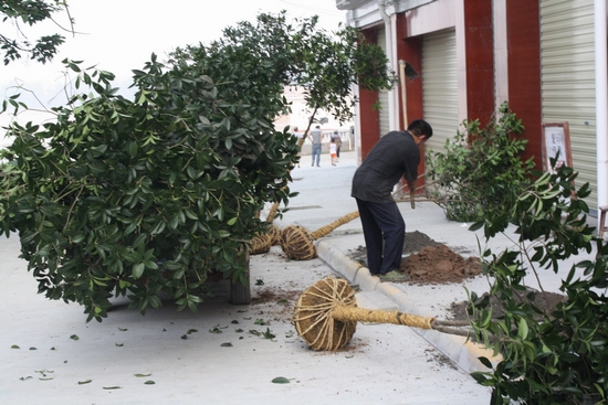海潮镇:花园小区建起来 场镇风貌展新颜(图1) 海潮镇:花园小区建起来 场镇风貌展新颜(图1)