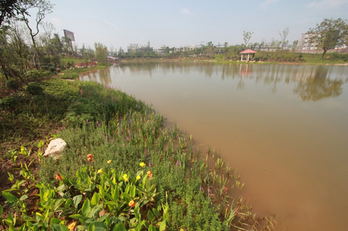 贡井西湖湿地公园月底开放&nbsp;占地面积3.5万平方米(图1)