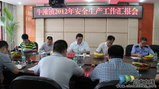 泸州市安全检查专项组到泸县牛滩镇检查安全工作(图1)