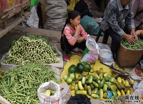 摩尼镇：雨多菜多价格低&nbsp;蔬菜卖不脱菜农很无奈(图1)