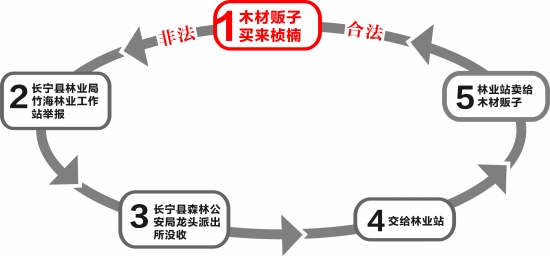 宜宾长宁县:公安没收贩子木材 林业站卖给木材贩子(图1) 宜宾长宁县:公安没收贩子木材 林业站卖给木材贩子(图1)