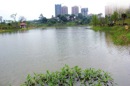 自贡西城公园本月底竣工(图1) 自贡西城公园本月底竣工(图1)