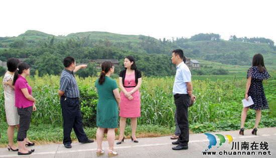 江阳区副区长王一米调研通滩镇学校发展建设工作(图1) 江阳区副区长王一米调研通滩镇学校发展建设工作(图1)