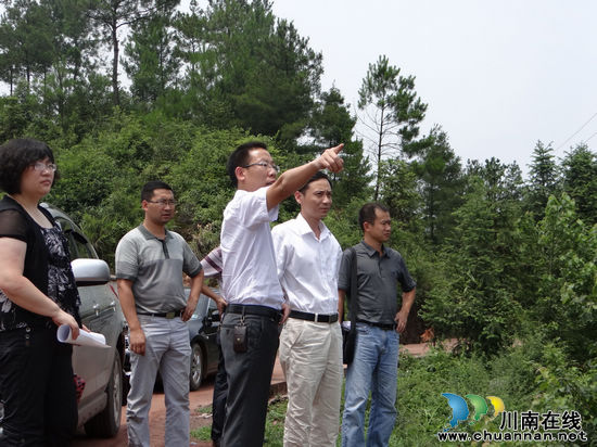 古蔺县组织部部长吴极到白泥乡调研(图1)