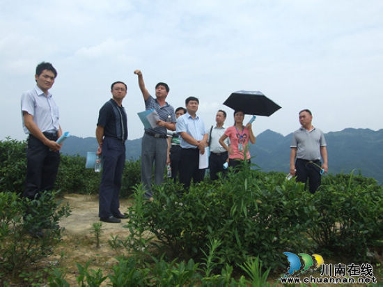 省、市、县领导莅临马嘶苗族乡检查(图1) 省、市、县领导莅临马嘶苗族乡检查(图1)