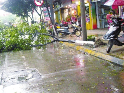 川南再次迎降雨(图1)