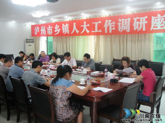 泸州市人大代工委主任雷敏一行调研合江乡镇人大工作(图1)