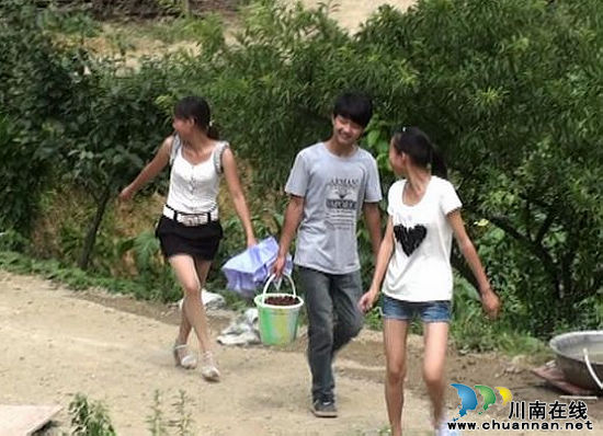 水口镇：拟五年内打造出万亩杨梅基地(图2)